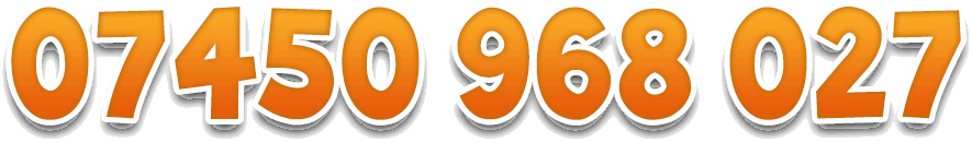 07407 655 861